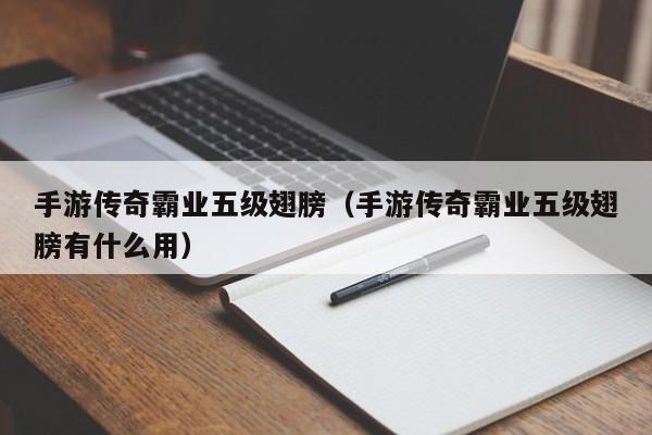 手游传奇霸业五级翅膀（手游传奇霸业五级翅膀有什么用）-第1张图片-bevictor伟德 - 伟德BETVLCTOR1946始于英国